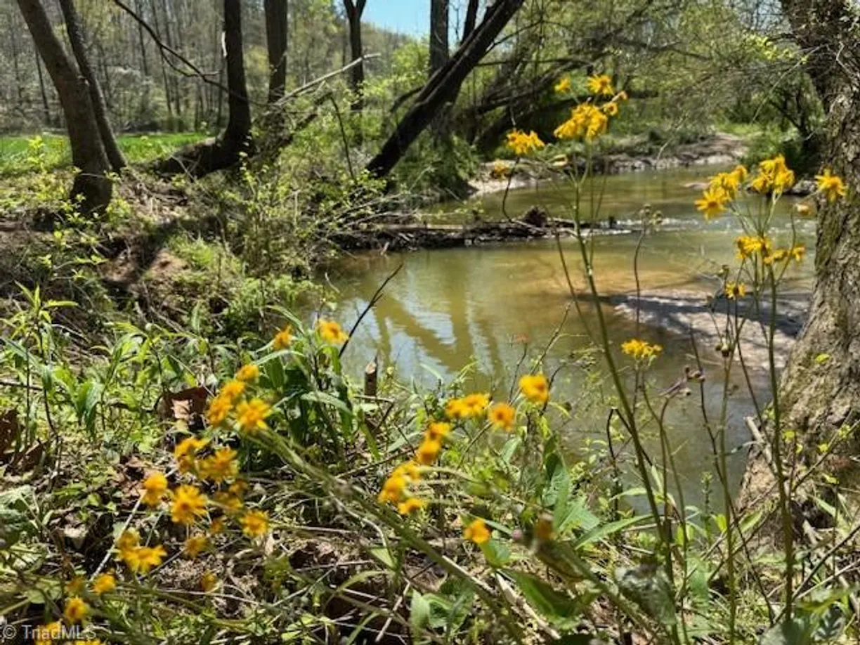 Charlotte Real Estate | View TBD German Farm Road | Listing