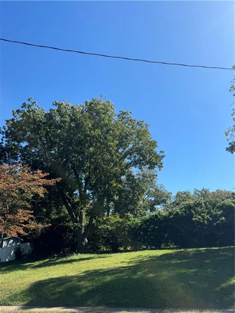 Charlotte Real Estate | View 307 Fisher Ferry Street