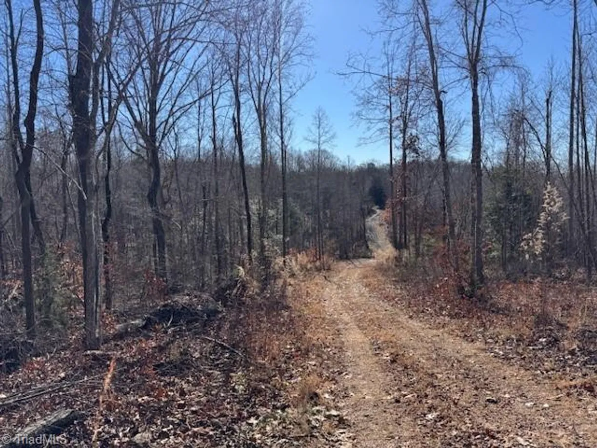 Charlotte Real Estate | View 0000 Neely Road | Listing