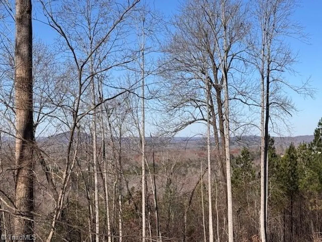 Charlotte Real Estate | View 0000 Neely Road