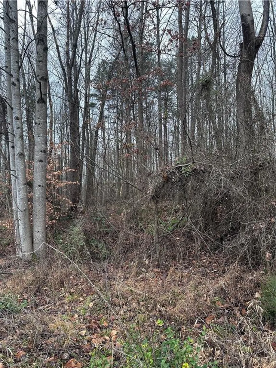 Charlotte Real Estate | View 1122 S State Street | Listing
