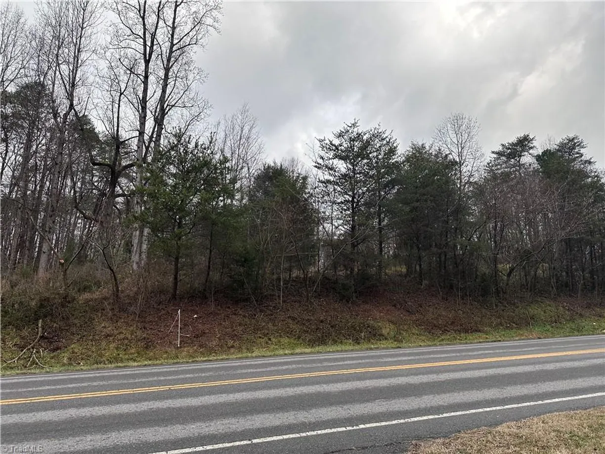 Charlotte Real Estate | View 1122 S State Street | Listing
