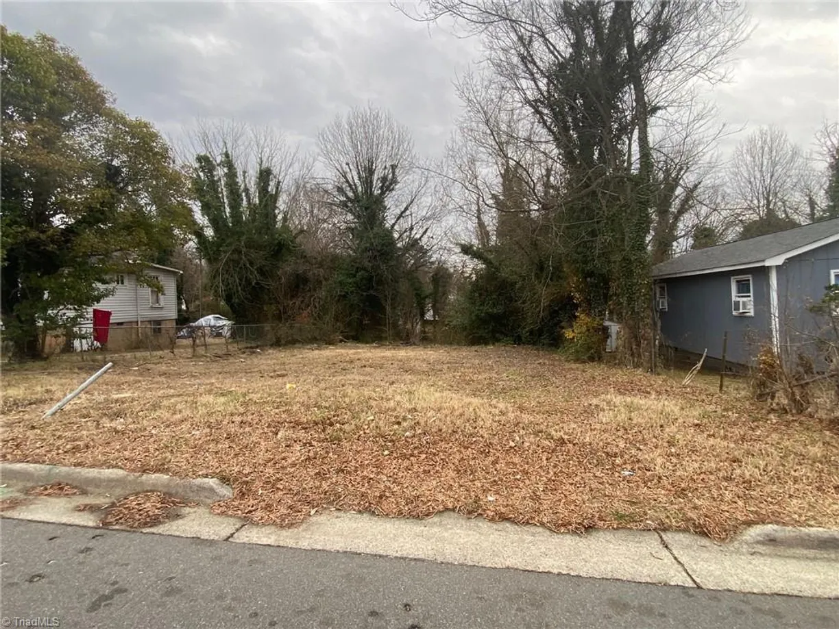 Charlotte Real Estate | View 411 W Willis Avenue