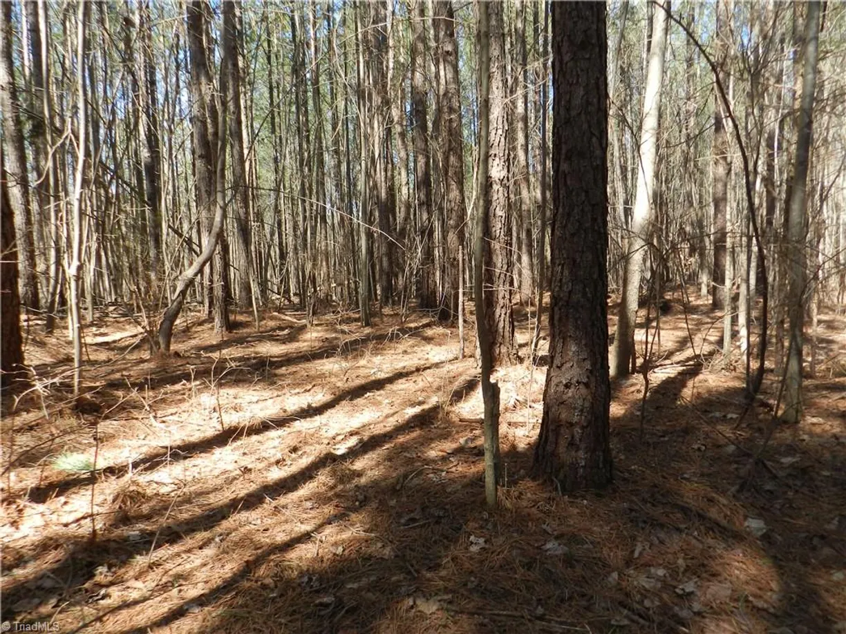 Charlotte Real Estate | View 0 Oakland Avenue | Listing