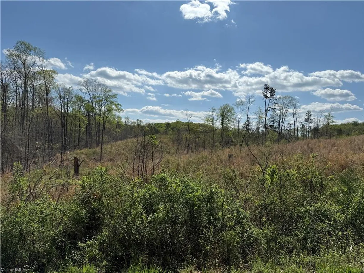 Charlotte Real Estate | View 0 GEORGIA Road | Listing