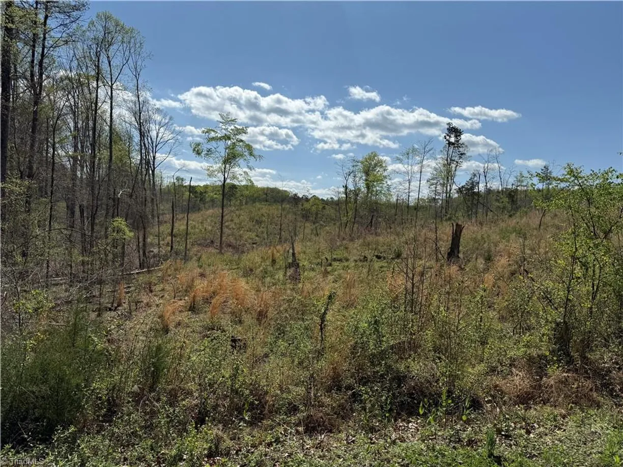 Charlotte Real Estate | View 0 GEORGIA Road | Listing