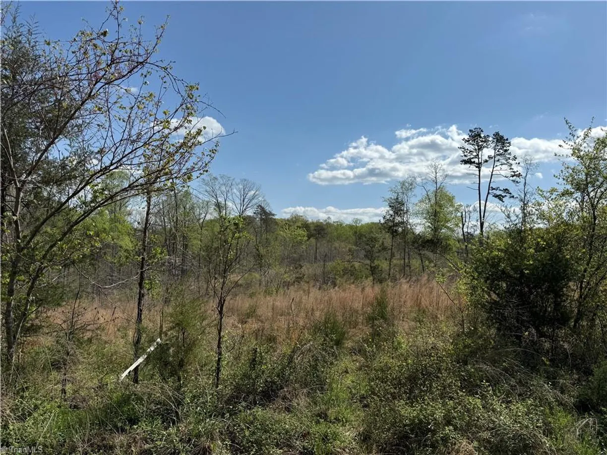 Charlotte Real Estate | View 0 GEORGIA Road
