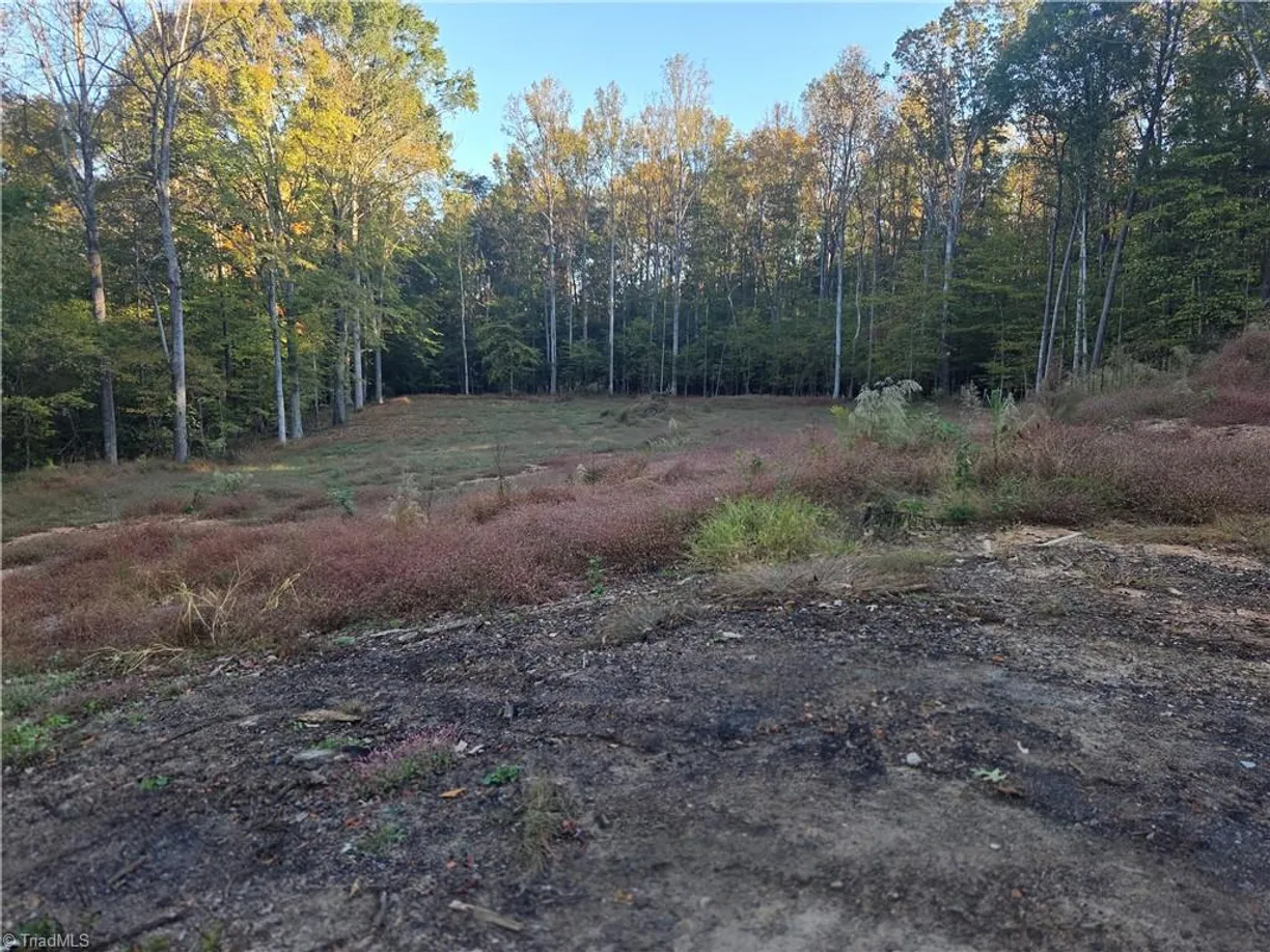 155 Cotton Lane, Mocksville, NC 27028 Property for sale