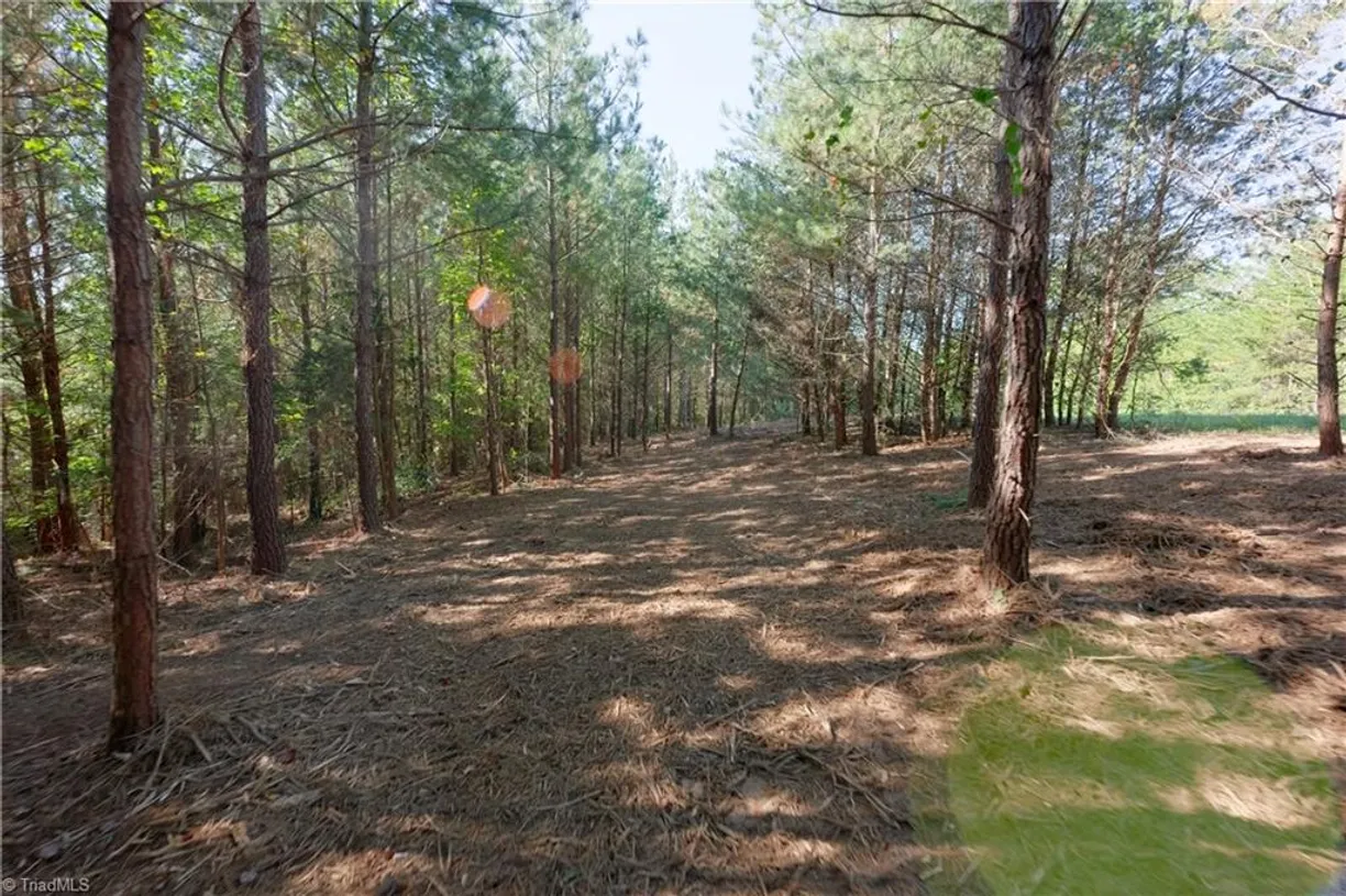 13 Morrison Road, Morganton, NC 28655 Property for sale