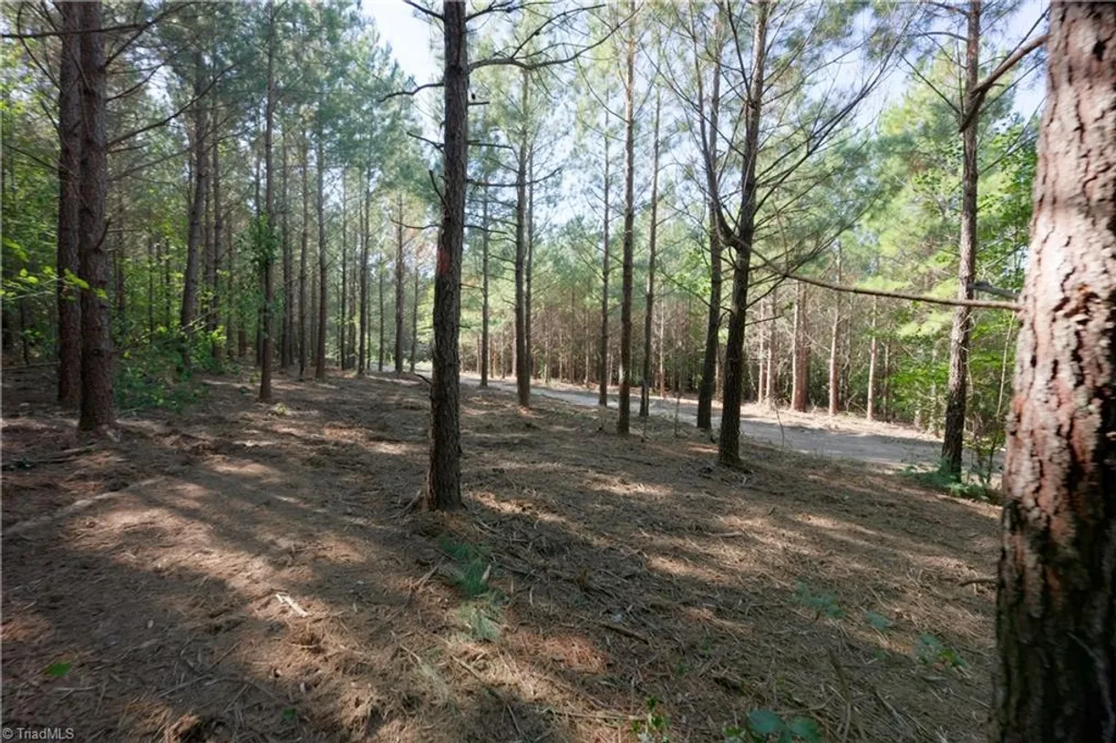 16 Morrison Road, Morganton, NC 28655 Property for sale