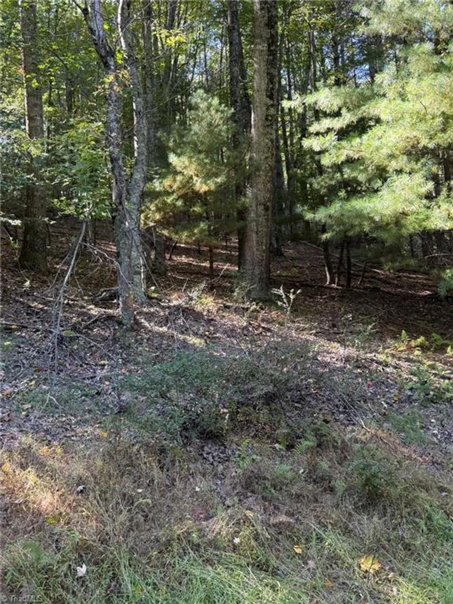 TBD Westwood Drive, Sparta, NC 28675 Property for sale