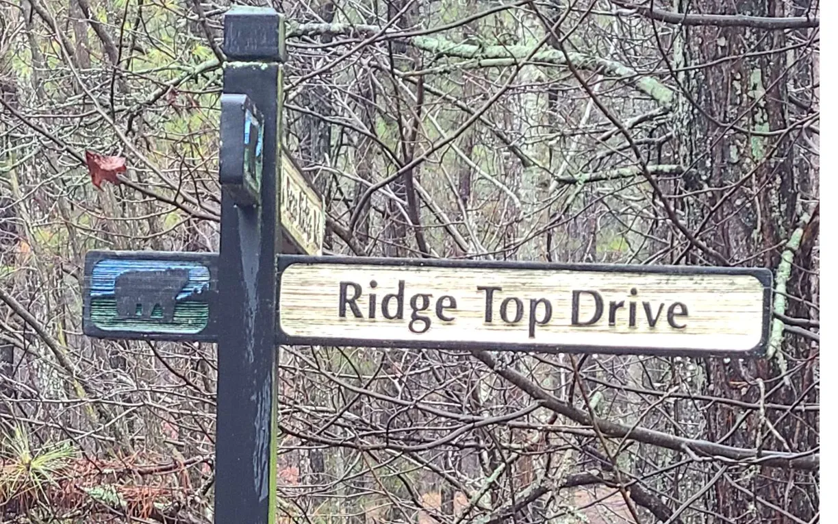 Athens, GA Real Estate | View 24 Ridge Top Drive | Listing