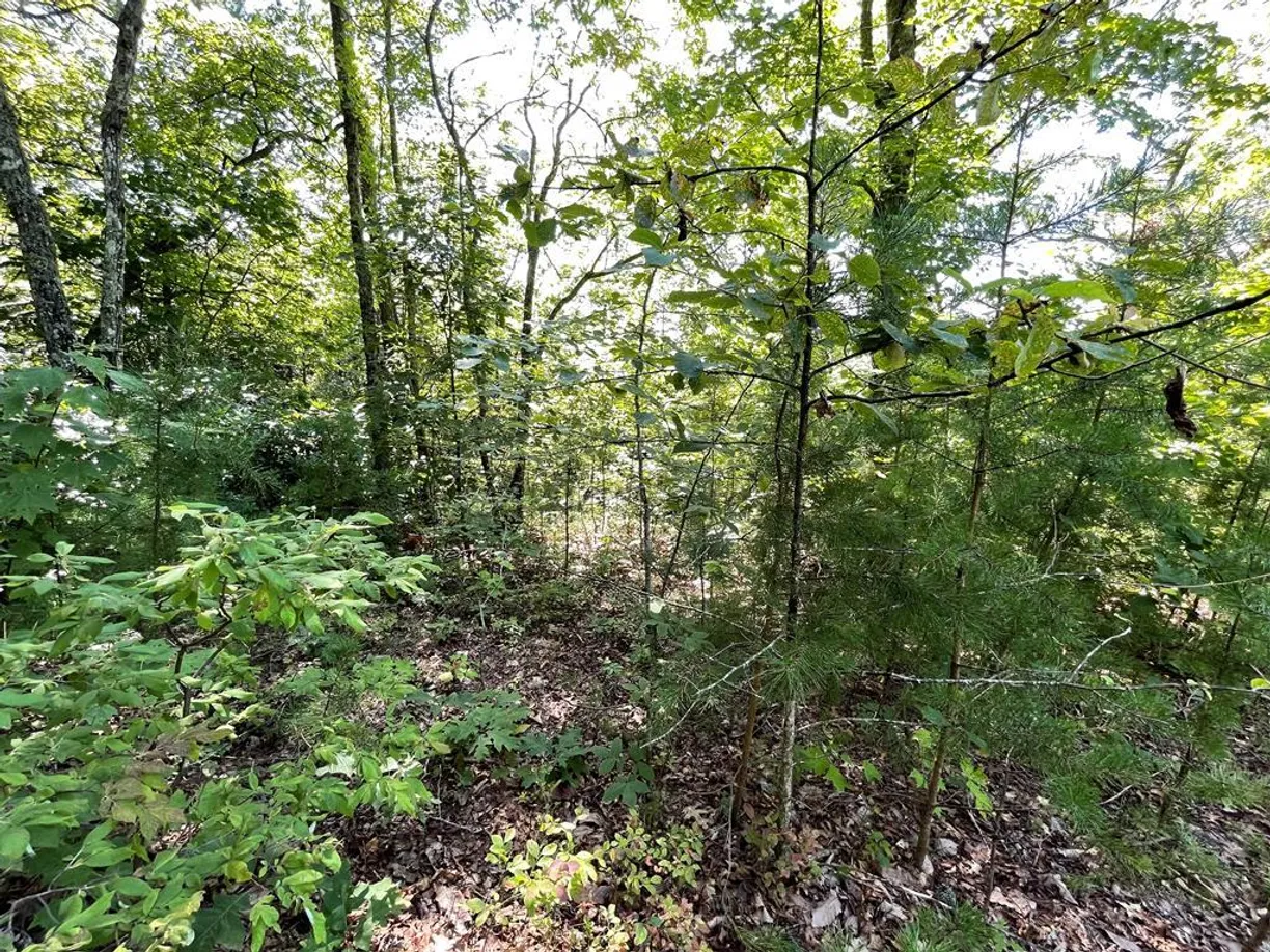 Athens, GA Real Estate | View Lot30,31 Fodder Creek Mill Drive