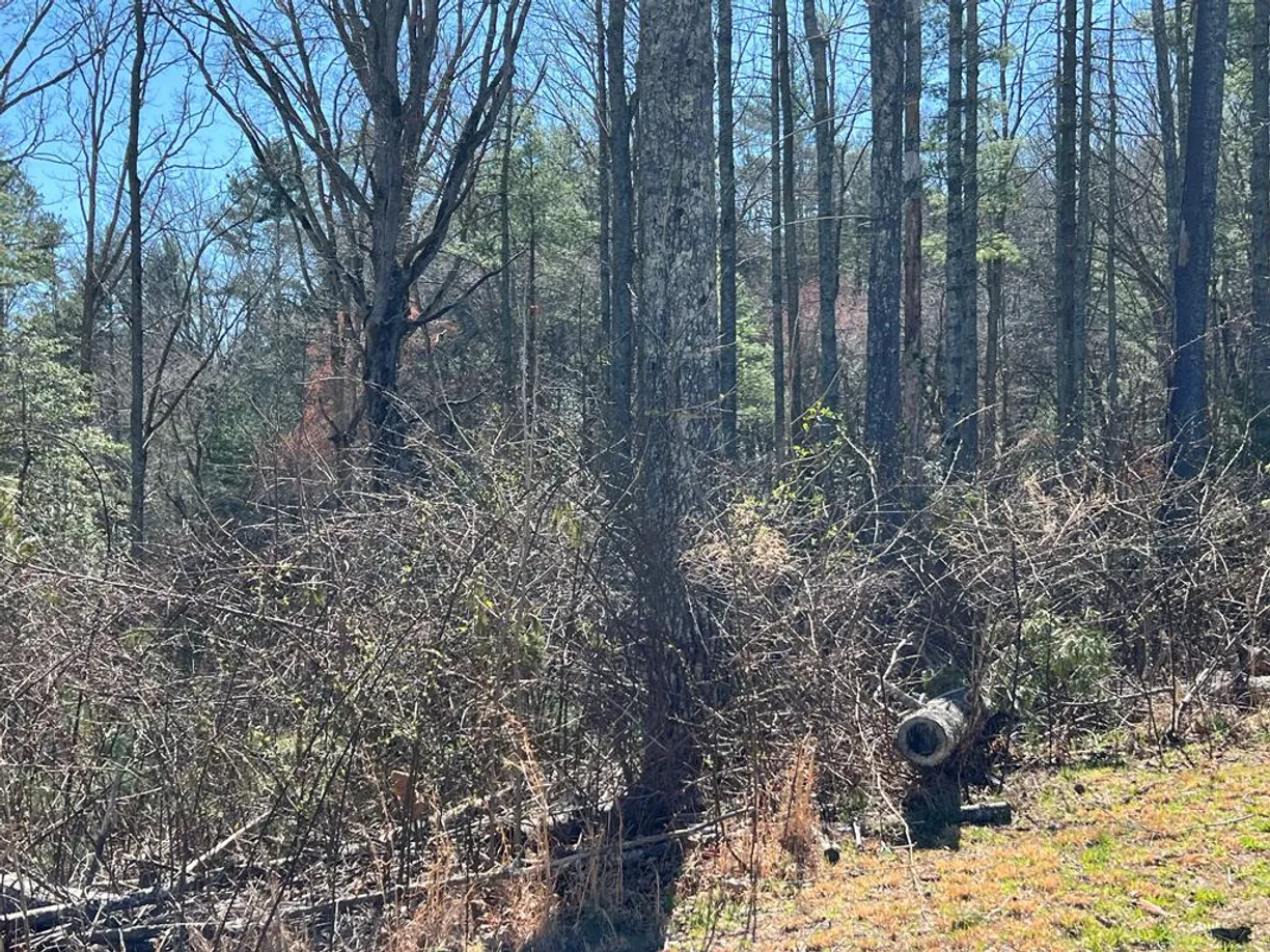 Athens, GA Real Estate | View Lot 173 Highland Park | Listing