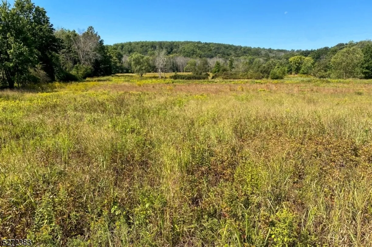 Central NJ/Bucks County, PA Real Estate | View 48 Fairview Rd | Listing