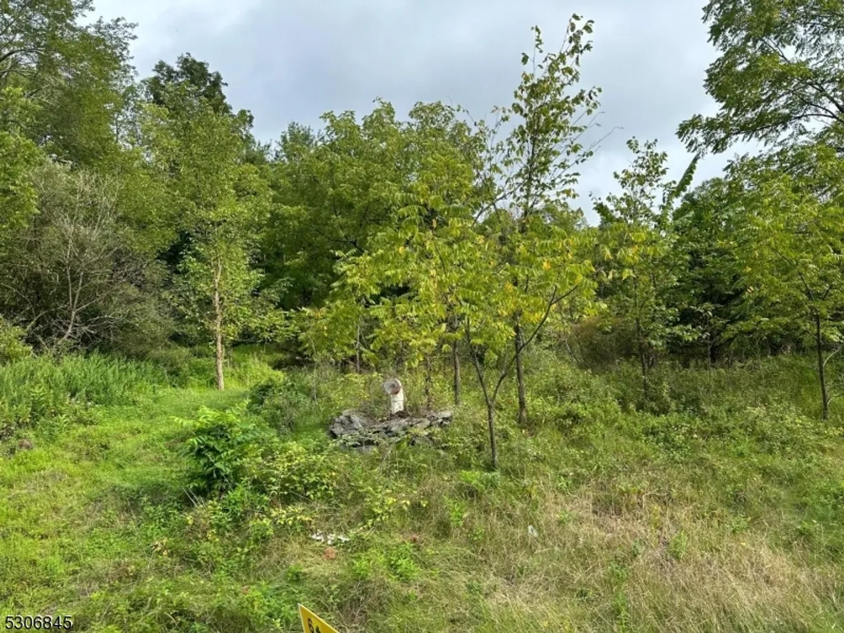 Rockland/Orange/NJ Real Estate | View 0 Pidgeon Hill Rd