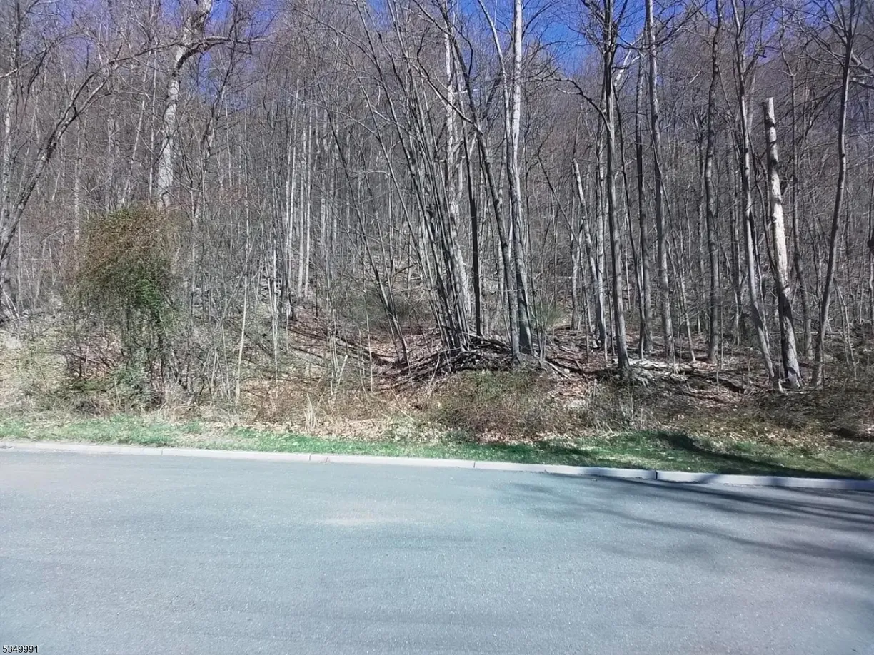 Central NJ/Bucks County, PA Real Estate | View 25 Somerset Dr | Listing