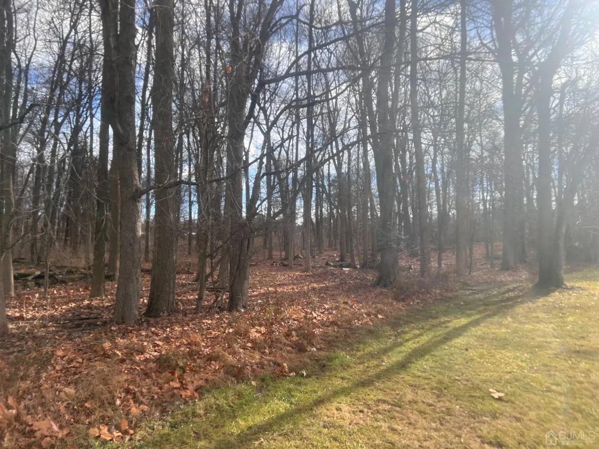 Central NJ/Bucks County, PA Real Estate | View 990-990 990 Inman Avenue | Listing