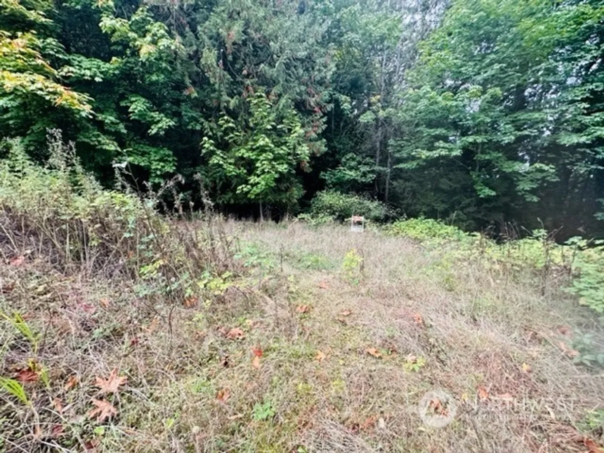 Seattle Area Real Estate | View 2 W Sherman Heights Road | Listing