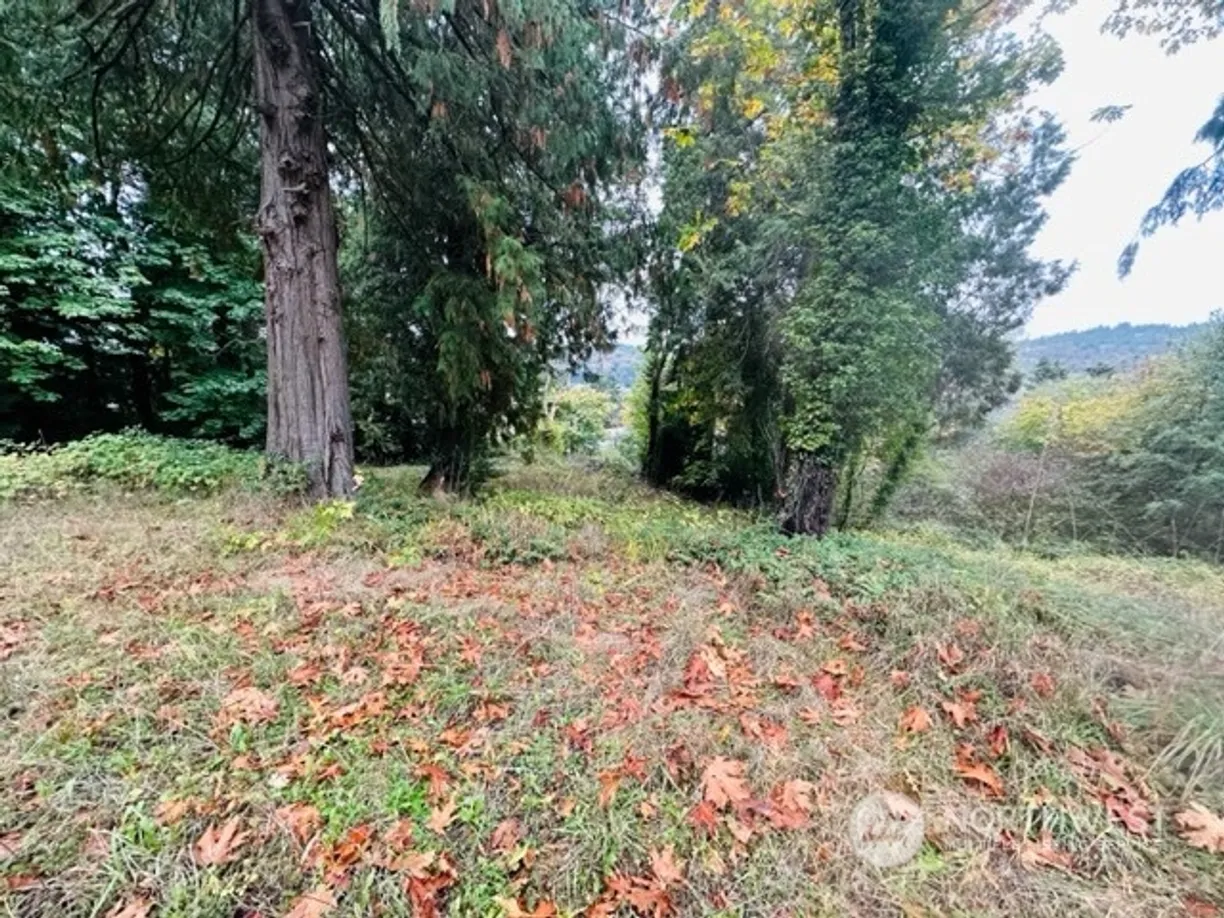 Seattle Area Real Estate | View 2 W Sherman Heights Road | Listing
