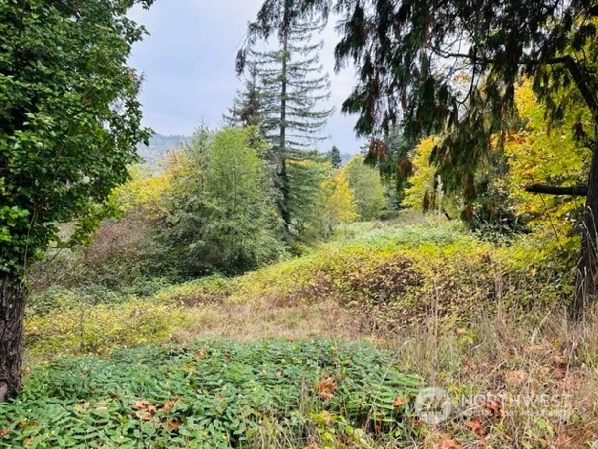 Seattle Area Real Estate | View 2 W Sherman Heights Road