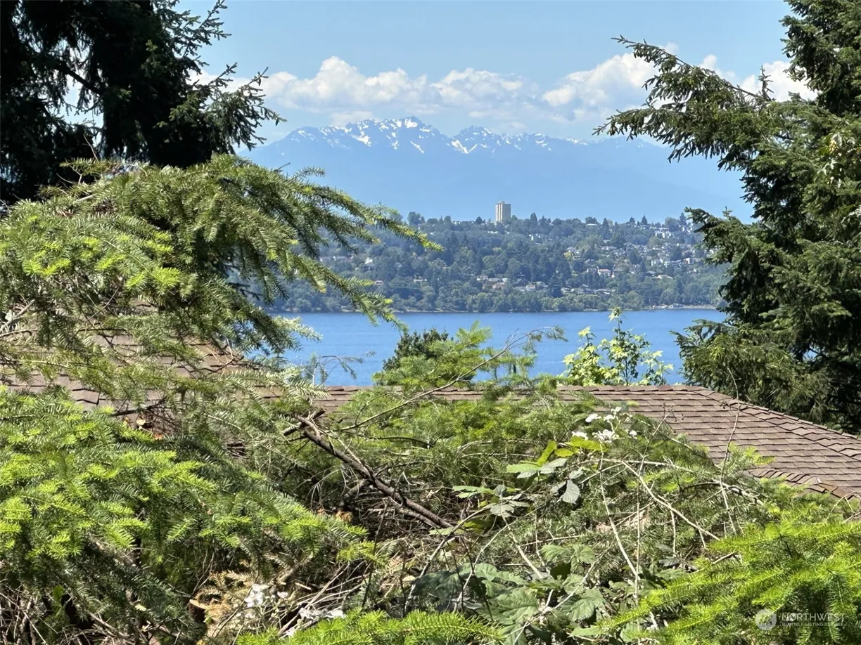 Seattle Area Real Estate | View 4450 84th Avenue, ptn 6-7