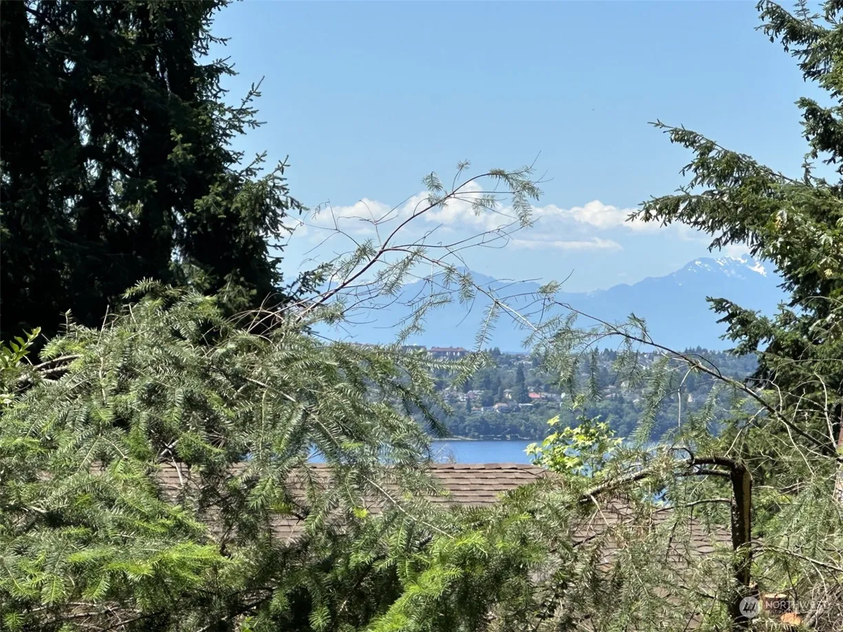 Seattle Area Real Estate | View 4450 84th Avenue, ptn 6-7 | Listing