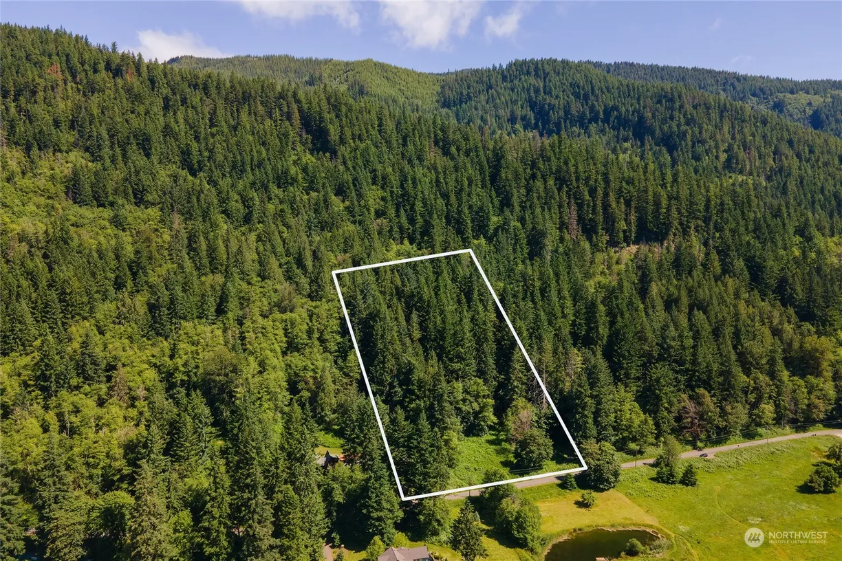 Seattle Area Real Estate | View 33311 Mount Tahoma Canyon Road