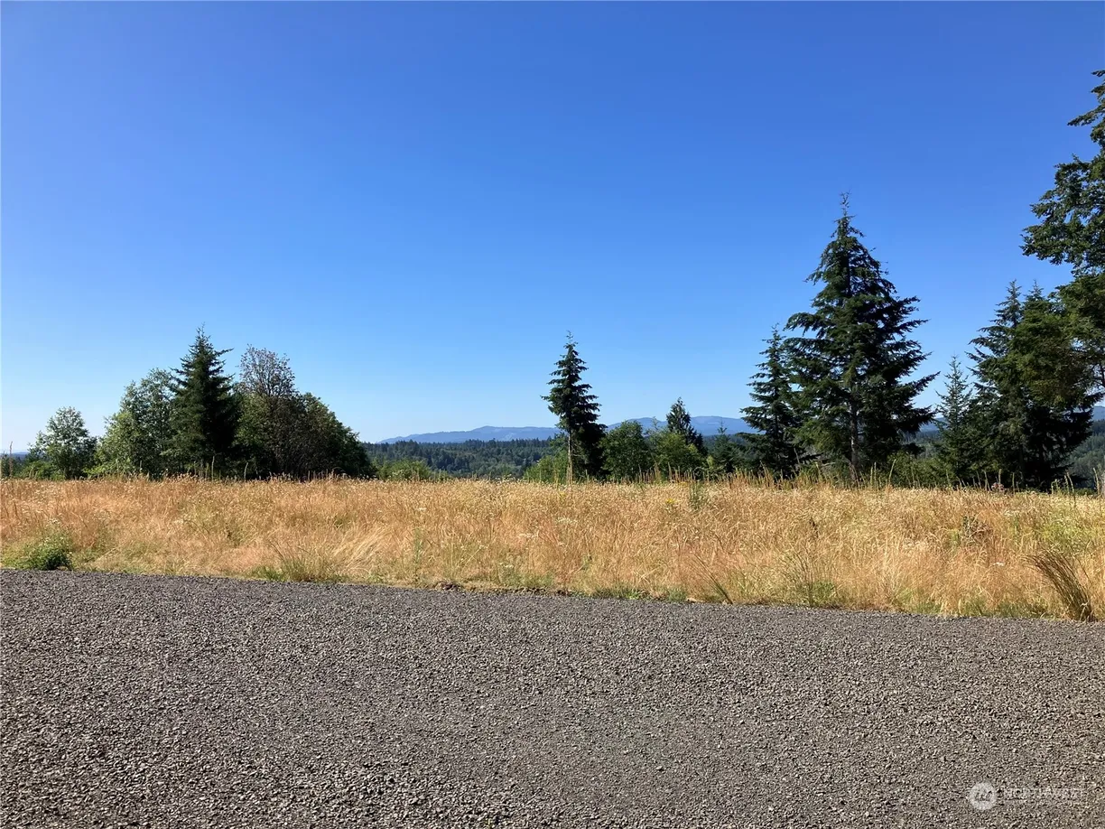 Seattle Area Real Estate | View 3 E Lone Fir Drive Drive, Div 2 | Listing