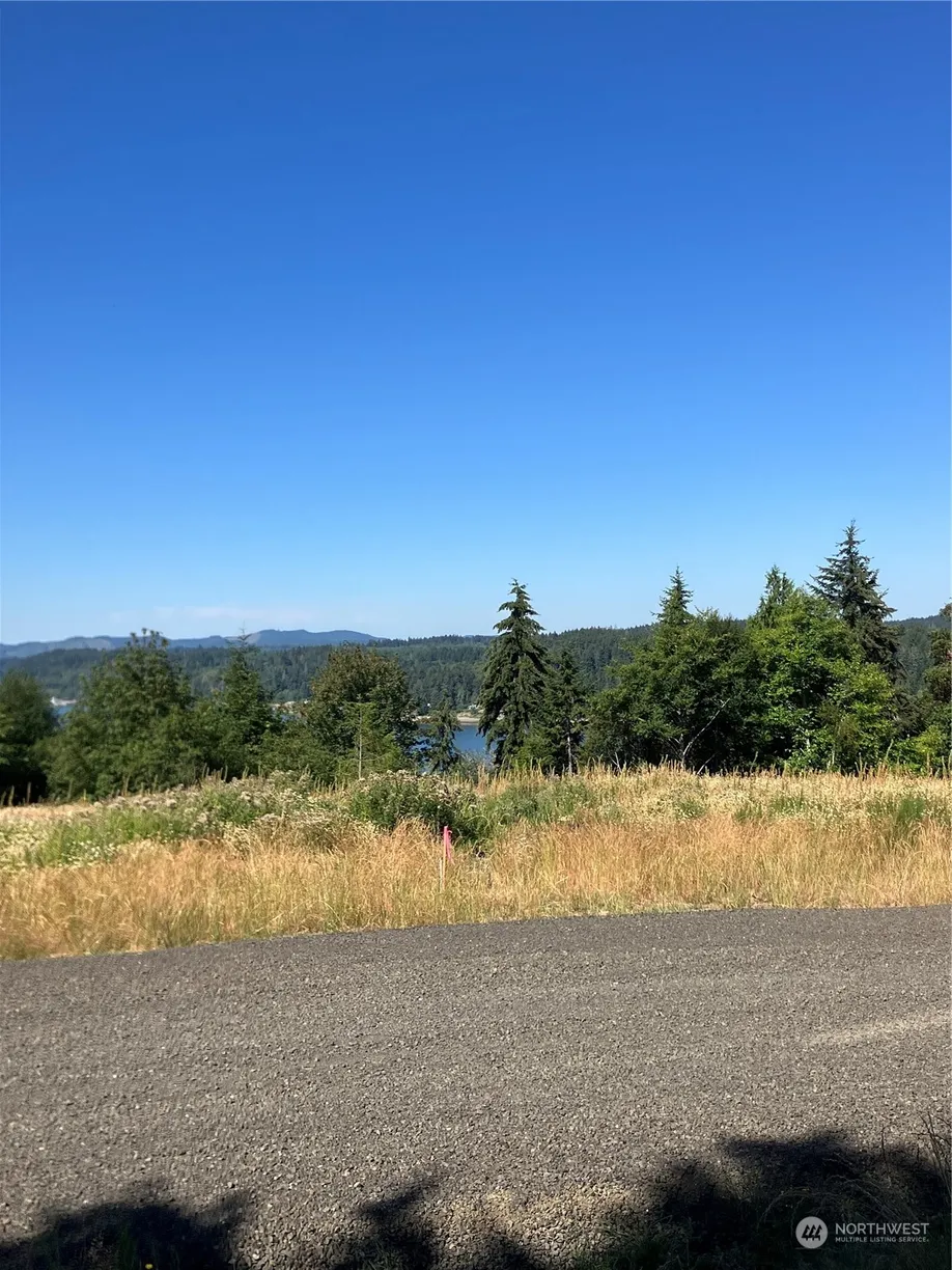Seattle Area Real Estate | View 3 E Lone Fir Drive Drive, Div 2