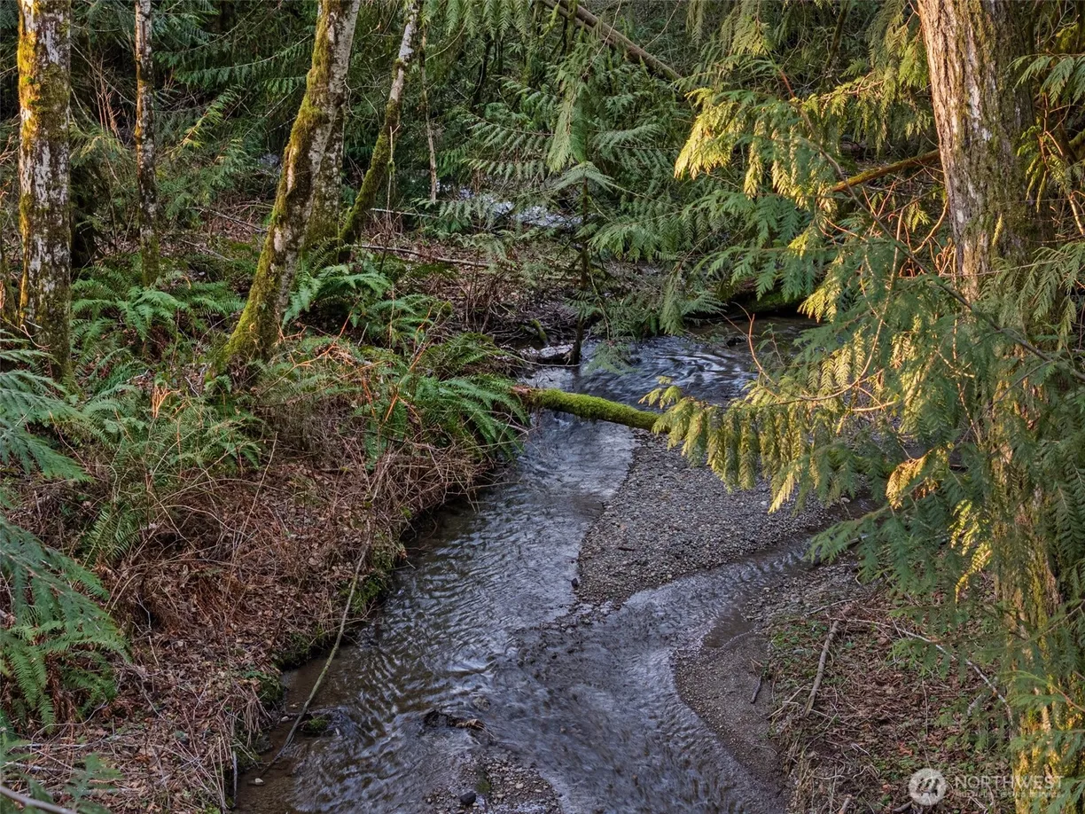 Seattle Area Real Estate | View 50 SE Crystal Creek Court | Listing