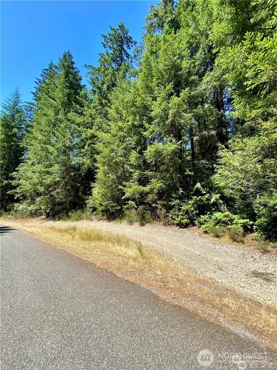 Seattle Area Real Estate | View 0 E Balmoral Way