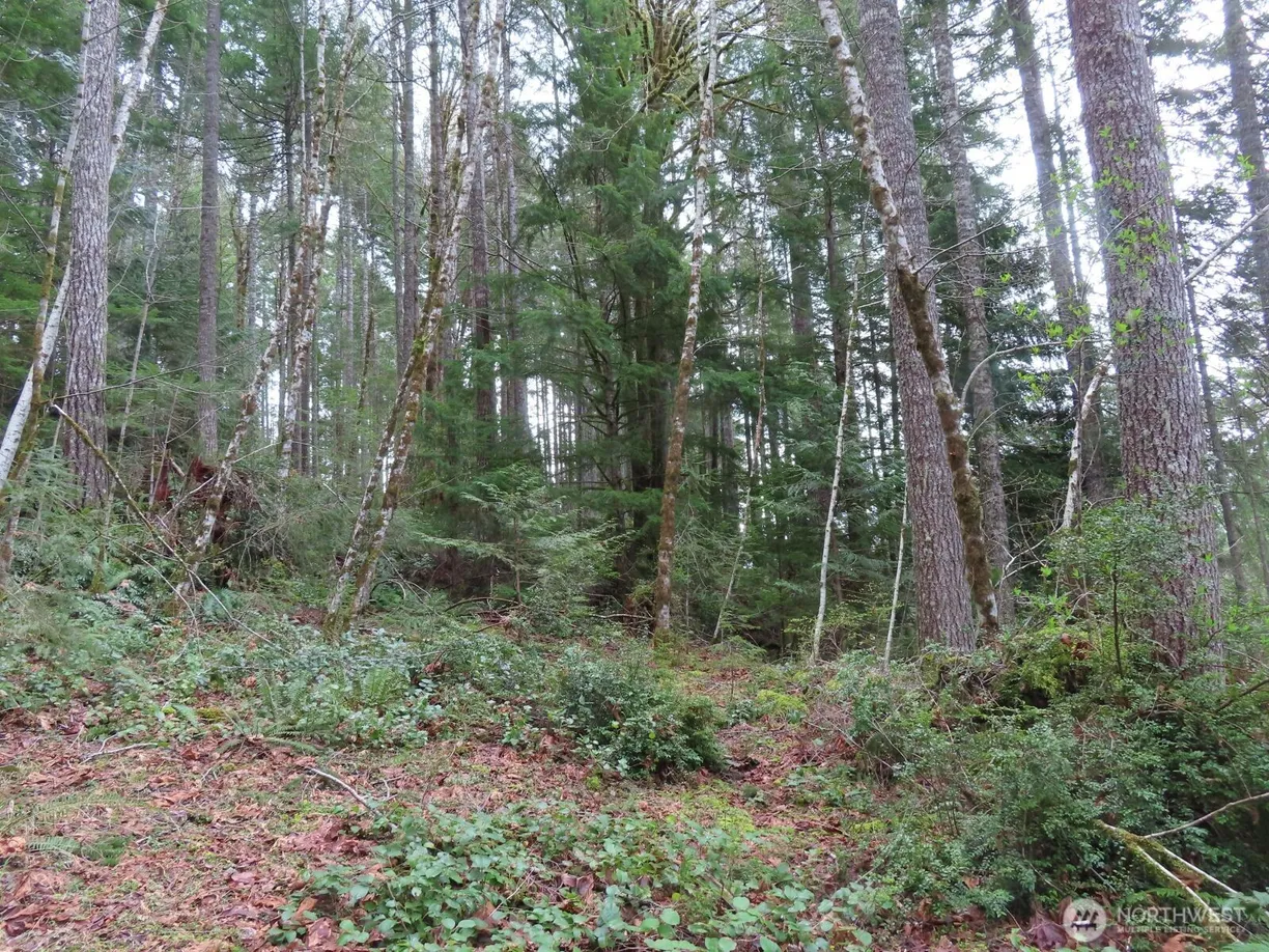 Seattle Area Real Estate | View 0 XXX N Lake Cushman Road | Listing