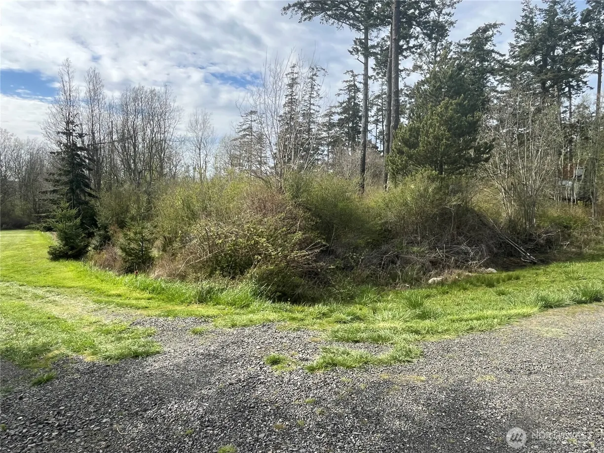 Seattle Area Real Estate | View 0 Beach Court