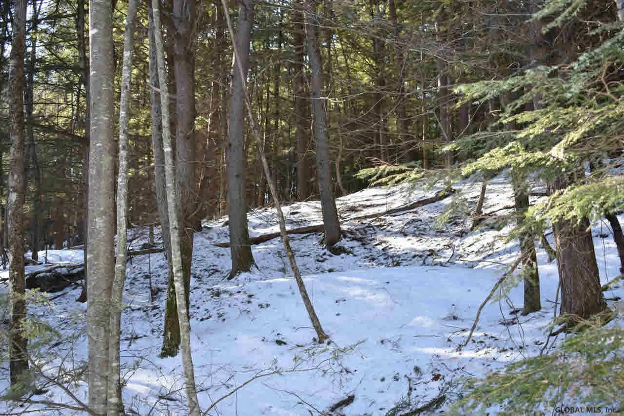 Hudson Valley Real Estate | View 20 CARRIAGE Road