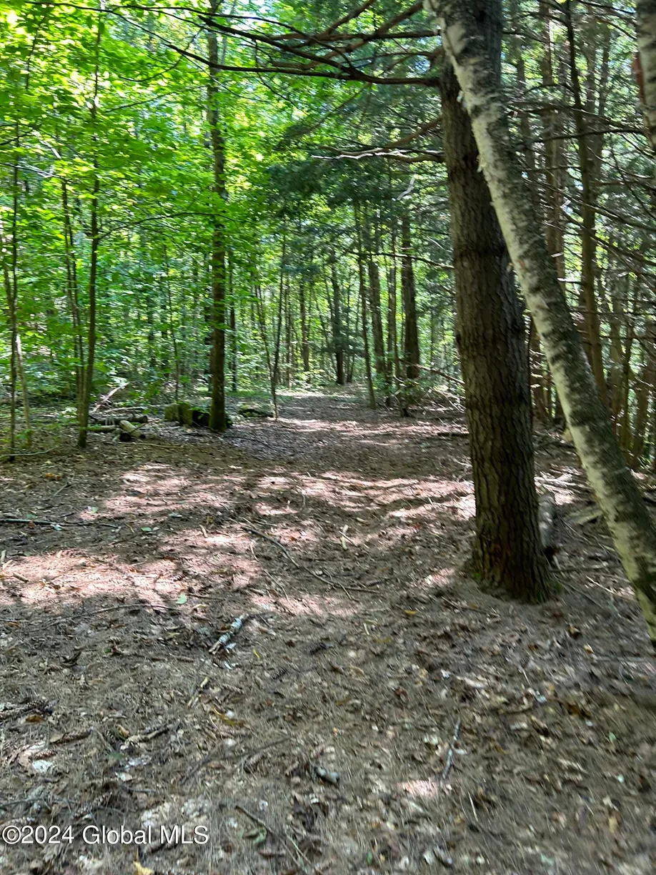 Hudson Valley Real Estate | View L1.312 W Hague Road