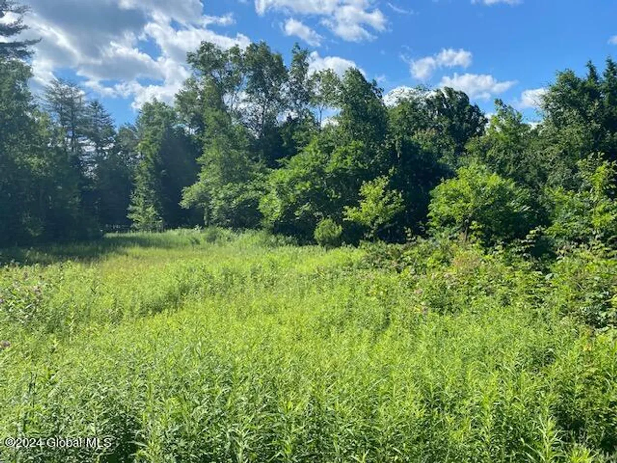 Hudson Valley Real Estate | View L29 NY State Route 28N | Listing