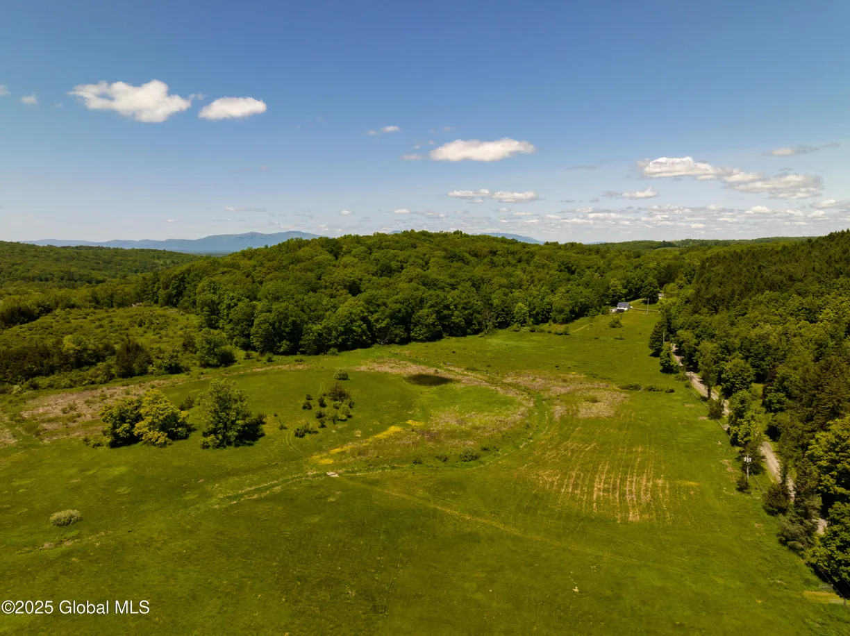 Hudson Valley Real Estate | View 0 Rowe Road