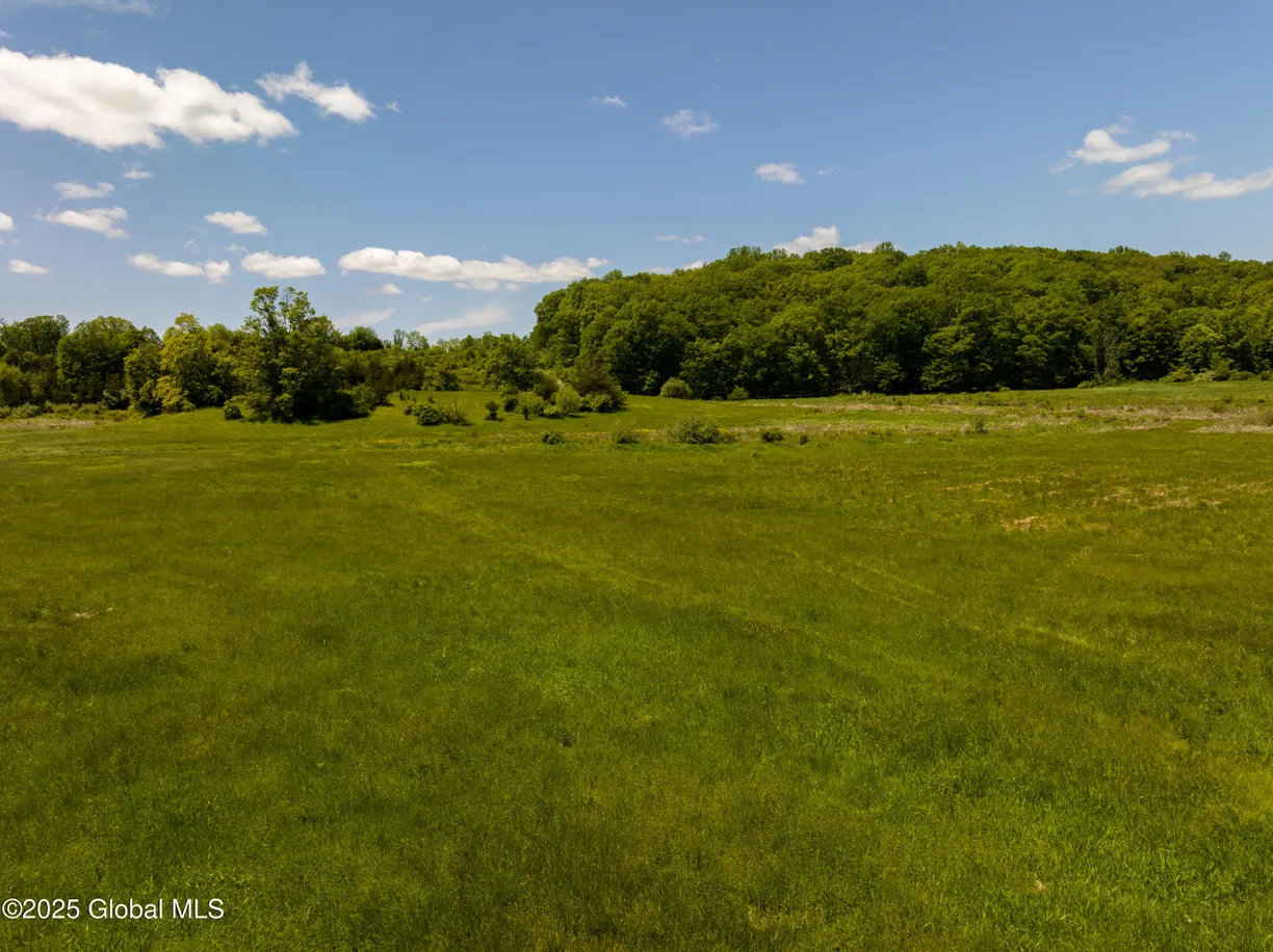 Hudson Valley Real Estate | View 0 Rowe Road | Listing