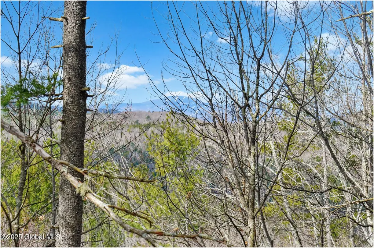 Hudson Valley Real Estate | View L18 Mountain Meadows Road | Listing