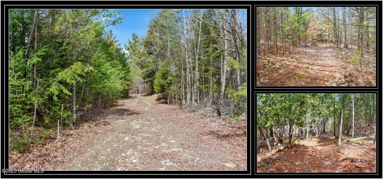 Hudson Valley Real Estate | View L11 Mountain Meadows Road