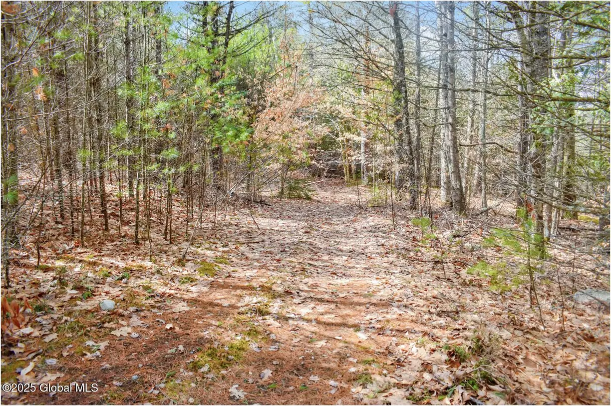 Hudson Valley Real Estate | View L11 Mountain Meadows Road | Listing