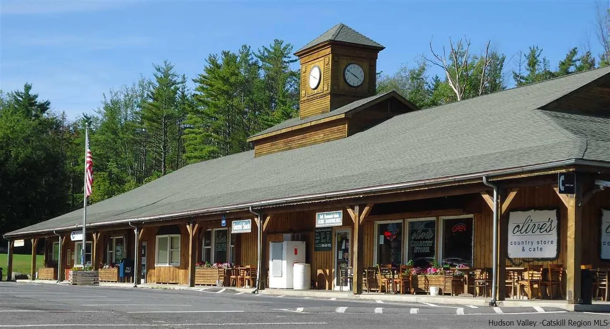 Hudson Valley Real Estate | View 3110 State Route 28 Boulevard | Listing