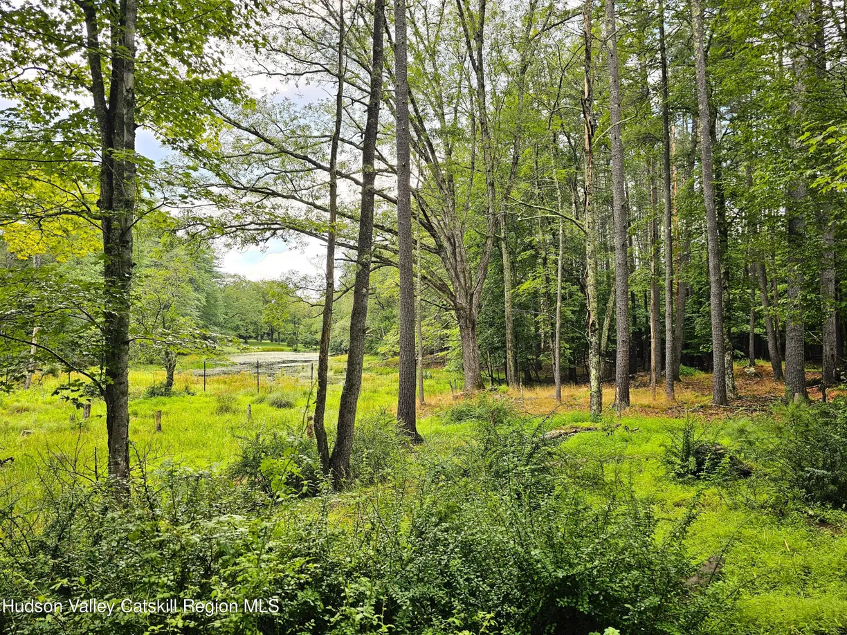 Hudson Valley Real Estate | View 272 Yerry Hill Road, Studio | Listing