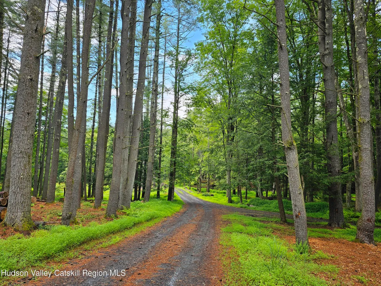 Hudson Valley Real Estate | View 272 Yerry Hill Road, Studio | Listing