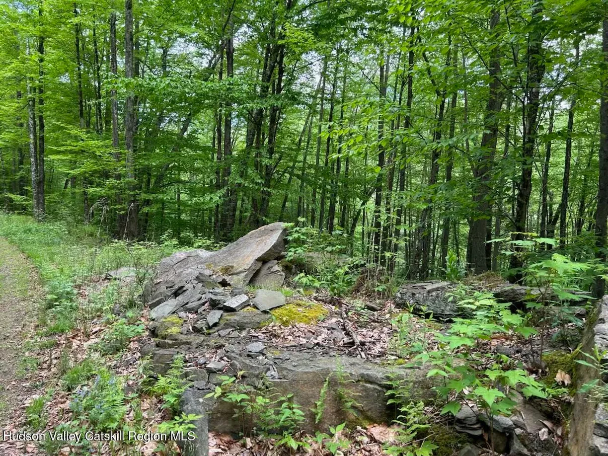 Hudson Valley Real Estate | View Tbd Railroad | Listing
