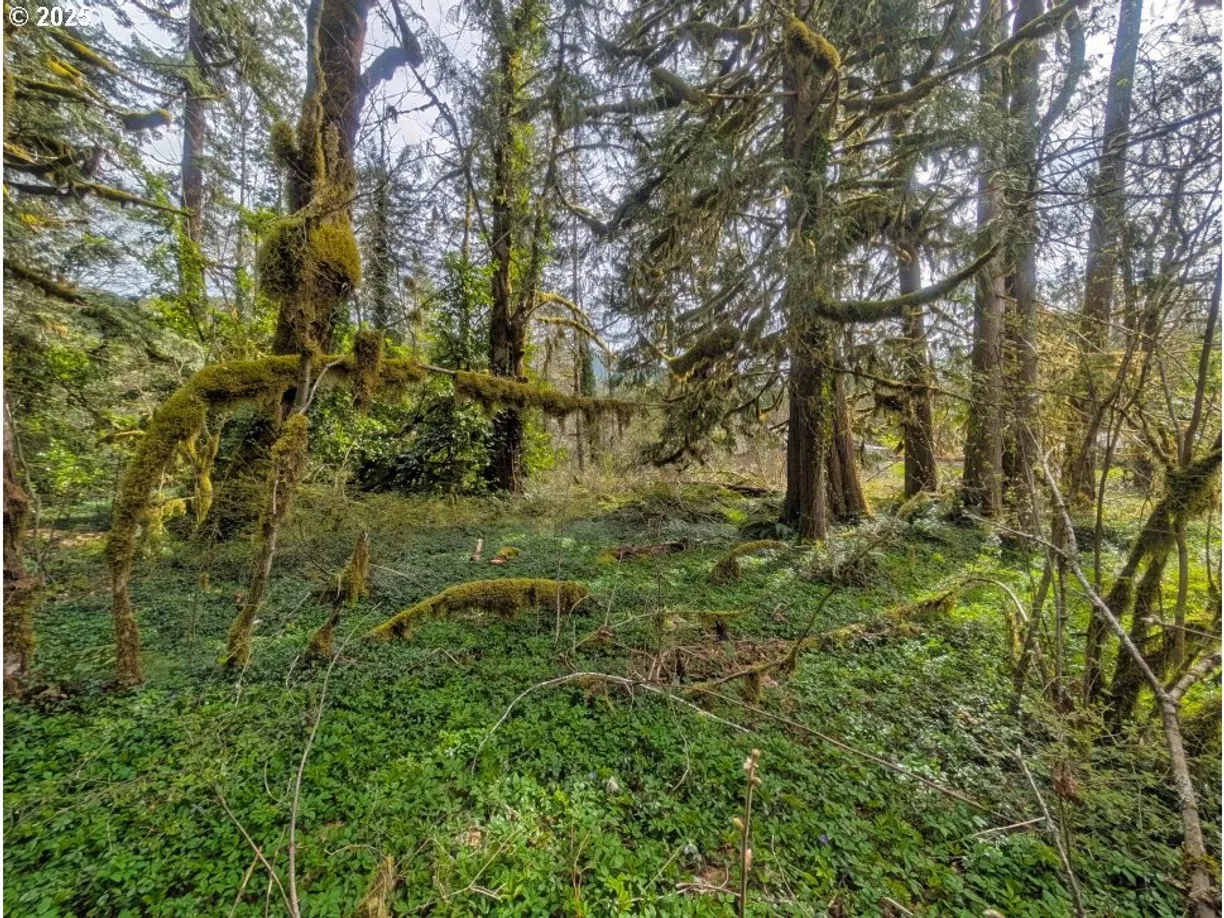 Portland, OR Real Estate | View 0 E Plaza Trail