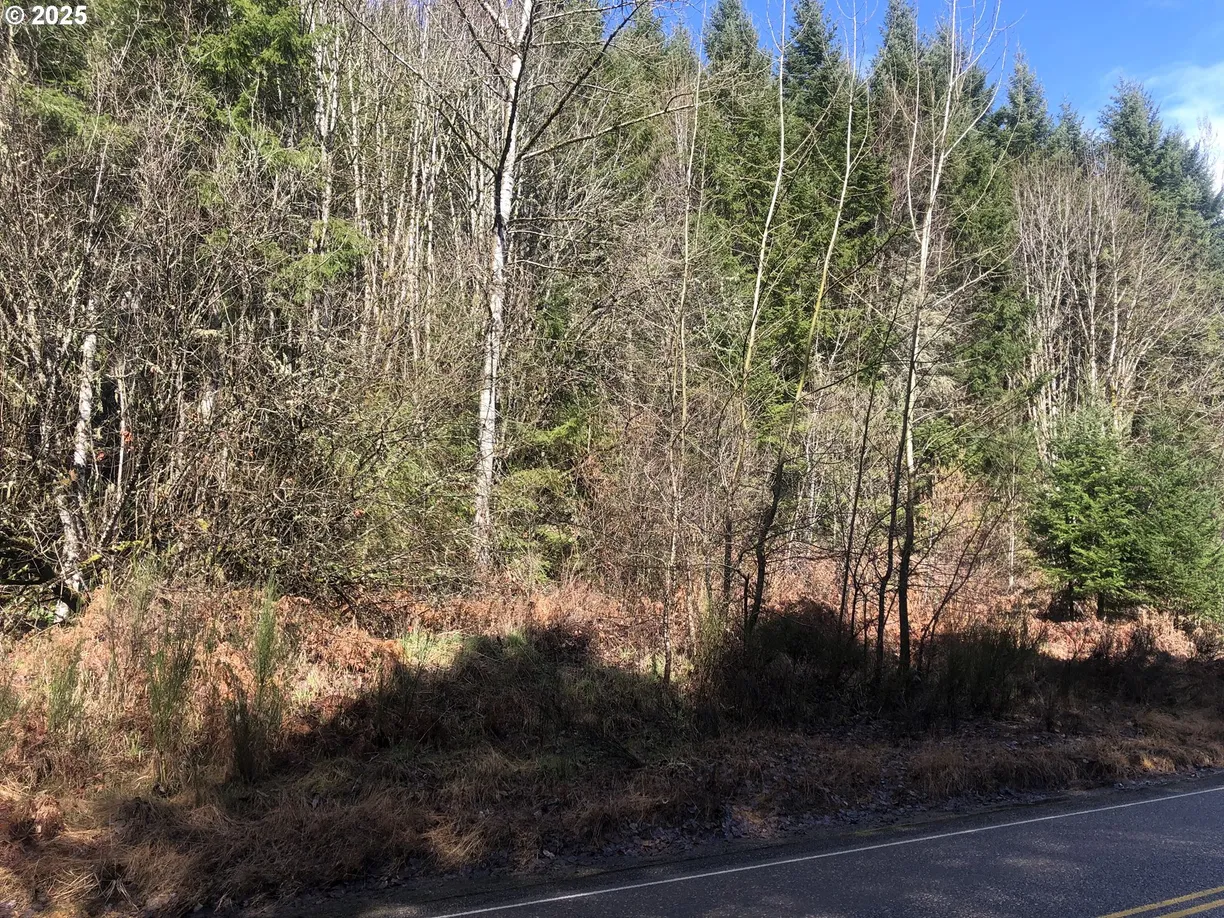 Portland, OR Real Estate | View Scappoose Vernonia