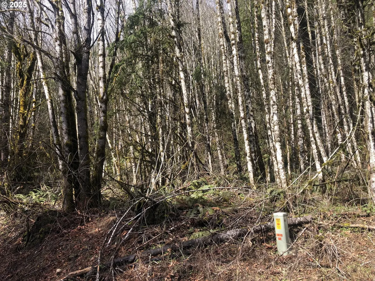 Portland, OR Real Estate | View Scappoose Vernonia | Listing