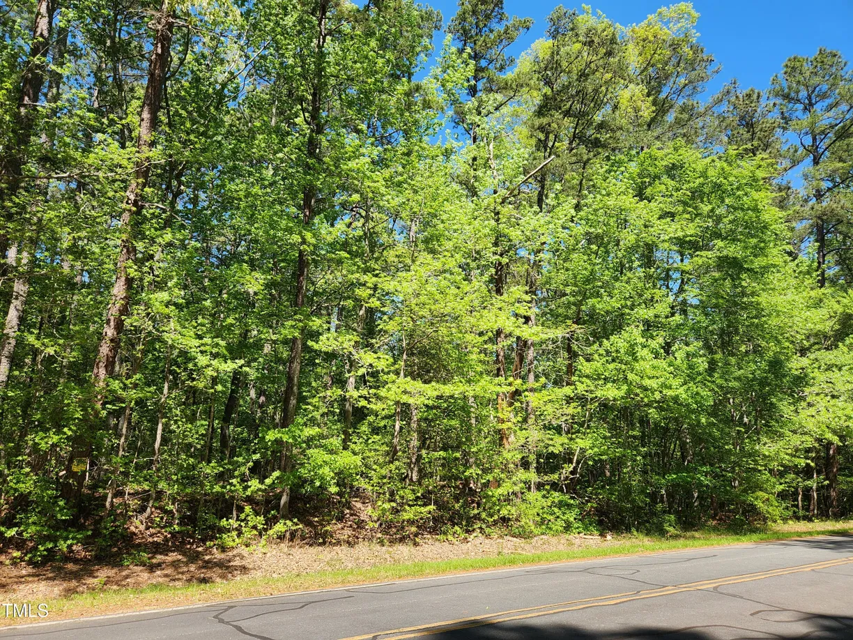 Raleigh, NC Real Estate | View 64 Forest River | Listing